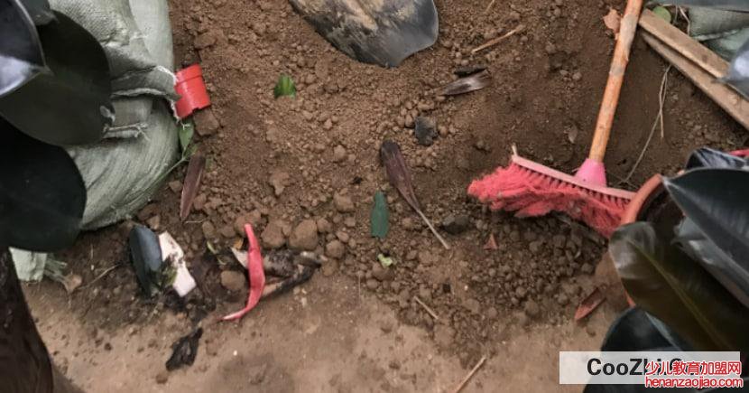 把土壤变成酸性最简单方法