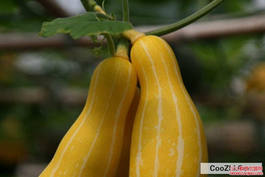 吃完虾千万别碰5种食物