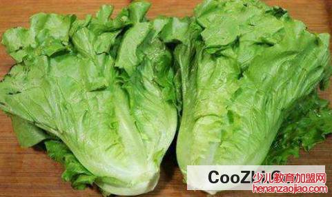 生菜的功效与作用