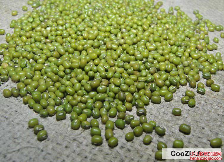 绿豆芽怎么发豆芽的步骤