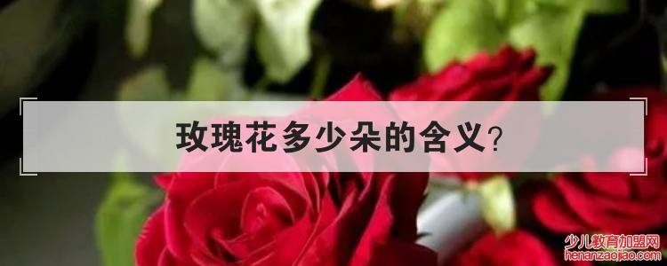  玫瑰花多少朵的含义？