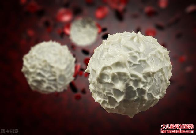 白细胞高是什么原因