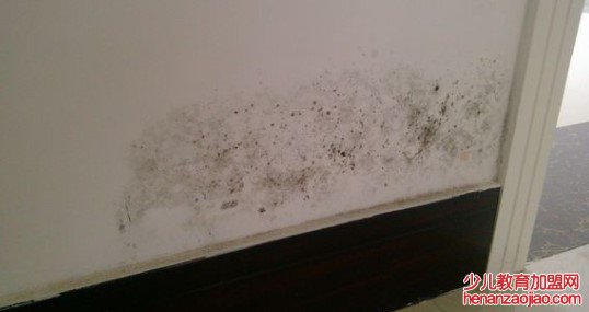 房间太潮怎么办？