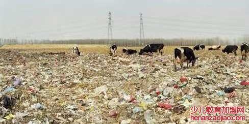 你知道每年有多少垃圾产生吗?