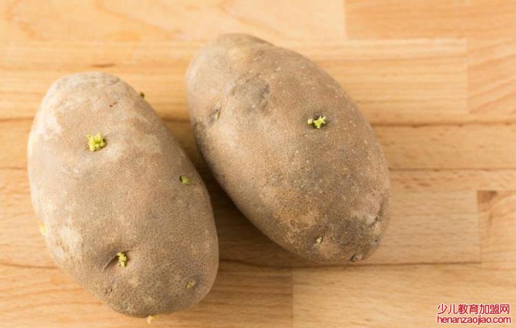 有哪些植物发芽之后不能食用呢