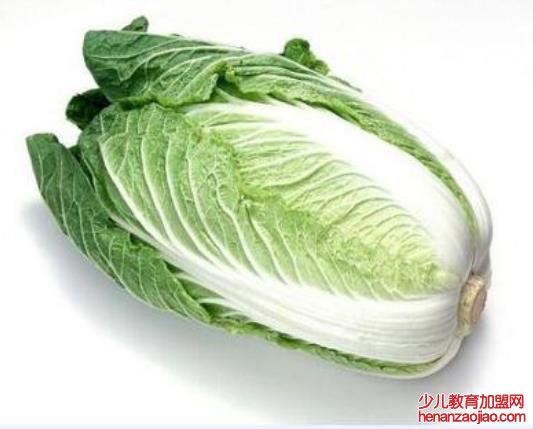 有哪些植物发芽之后不能食用呢