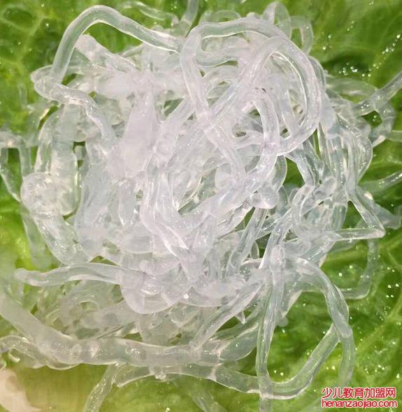 鸡丝海蜇为什么这么好吃?原来刀工技术要恰到好处