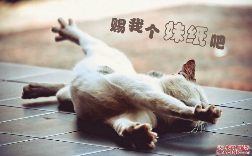 男生单身久了跟女生单身久了有什么区别?