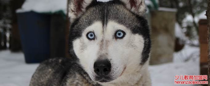 男生单身久了跟女生单身久了有什么区别?