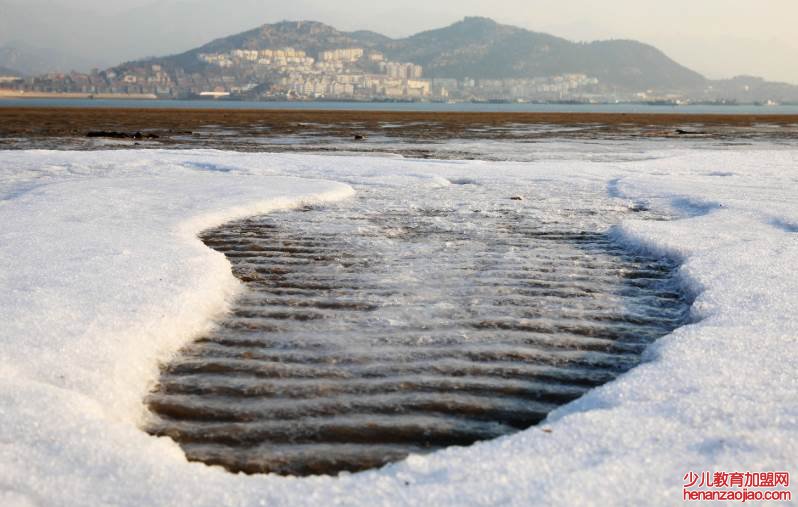 2021三九天时间表多少天？