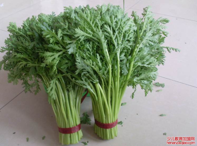 什么野菜刮油最厉害？