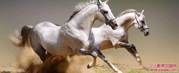 属什么的双鱼座命最好?