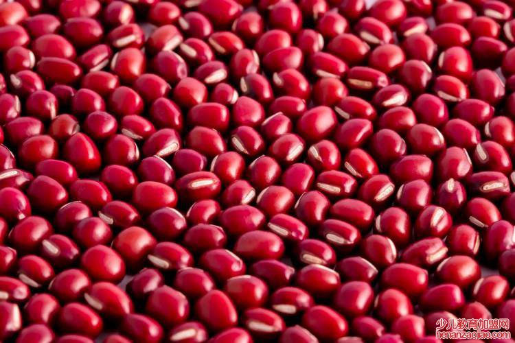 怎么煮红豆薏米水