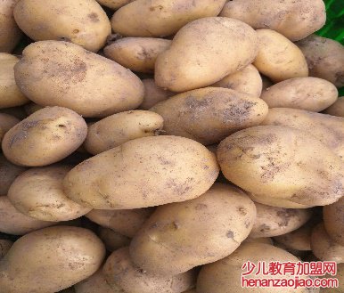土豆发芽还能吃吗