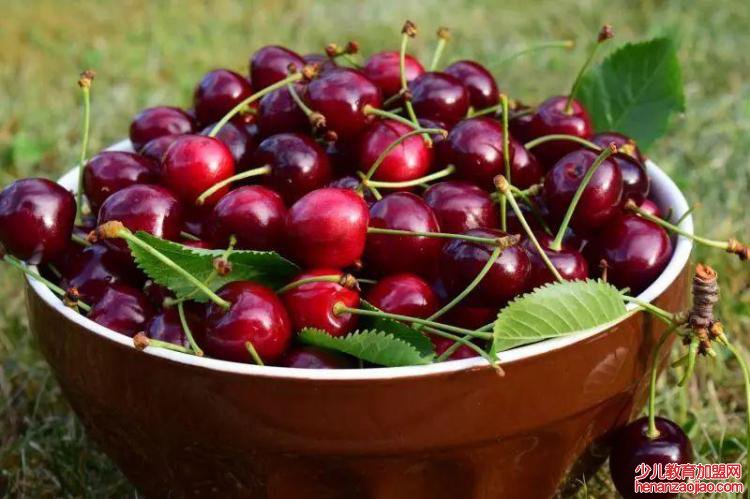 车厘子如何更好地保鲜？