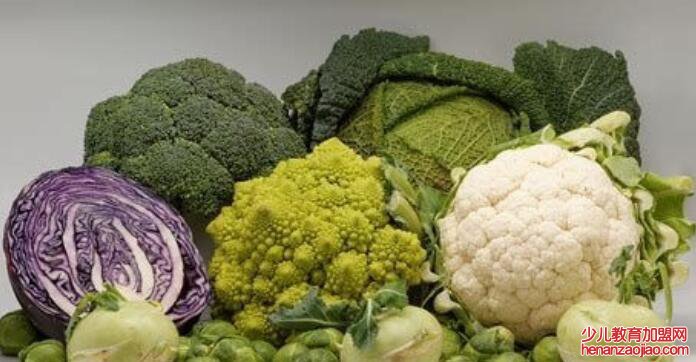 十字花科蔬菜有哪些?