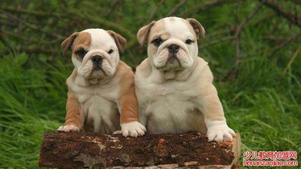 虎年属虎的贵人是谁？