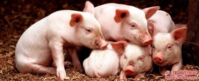 虎年属虎的贵人是谁？