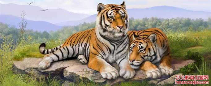 虎年犯太岁生肖是什么？