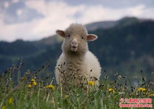 属羊人和谁在一起最幸福？