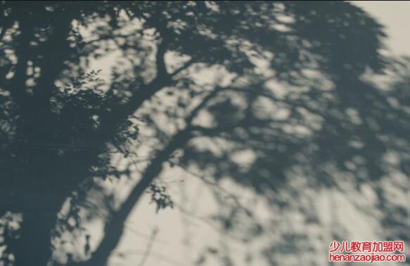 朝花夕拾是什么意思