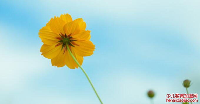 朝花夕拾是什么意思