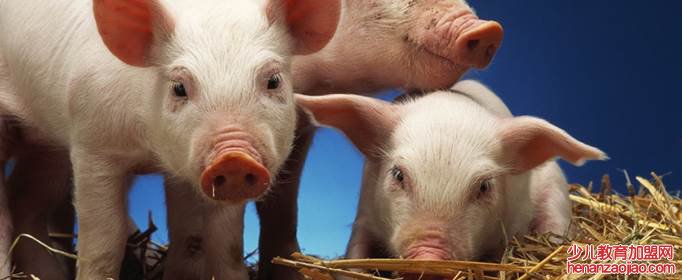 属猪为什么三月生八败？