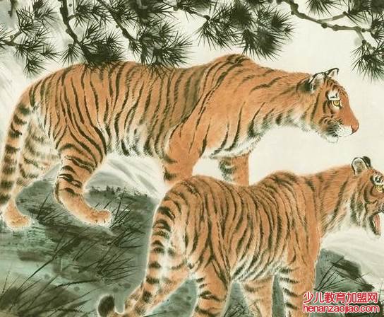 属虎适合哪个城市发展?