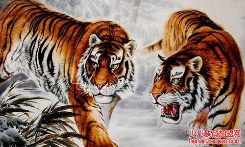 属虎人什么时候走好运？