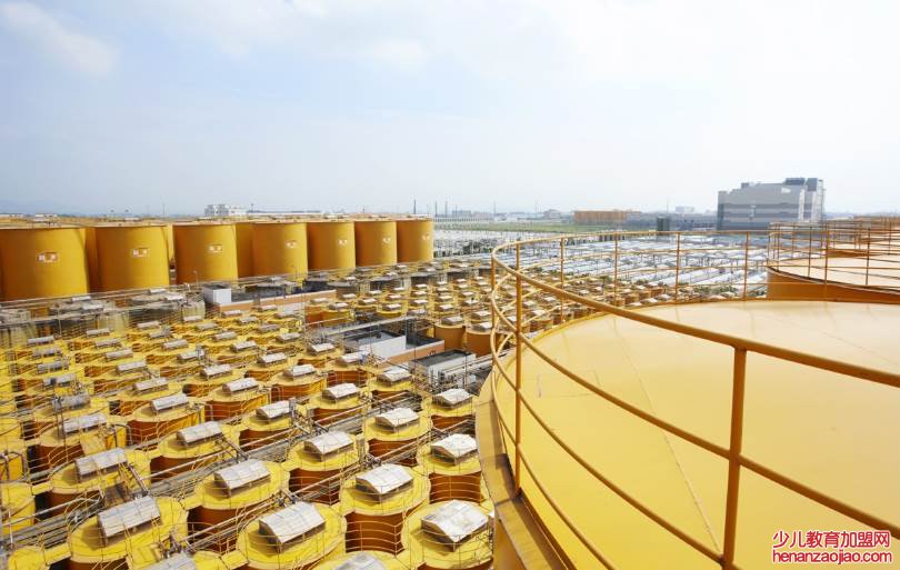 中国哪个牌子的酱油质量最好？