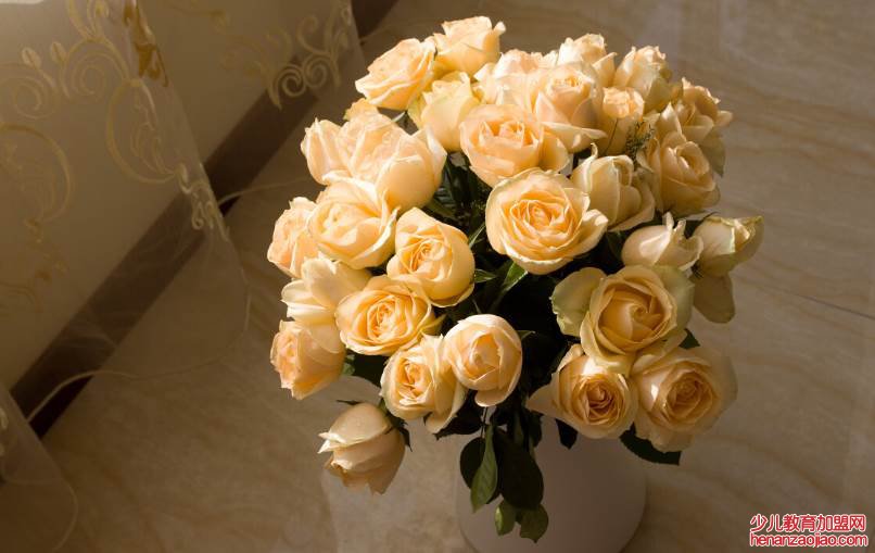 香槟玫瑰的花语是什么?