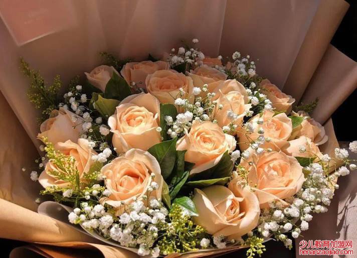 香槟玫瑰的花语是什么?