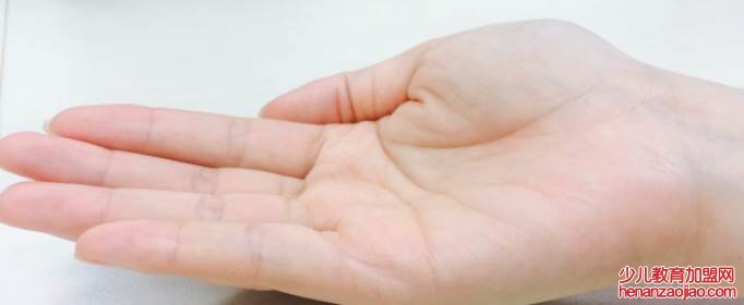 手掌心的三条线代表什么？