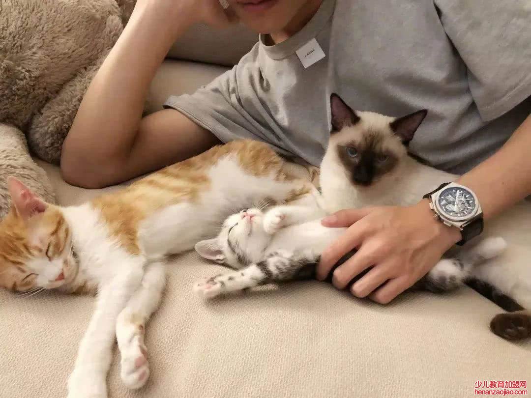 猫为什么爱挨着人睡？