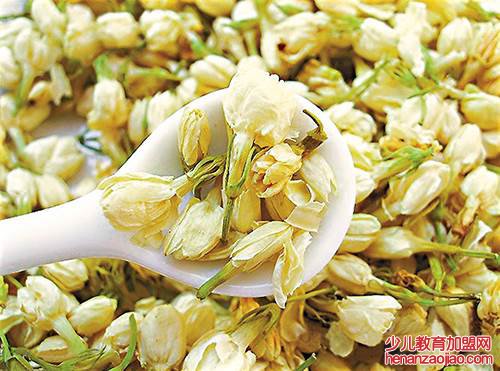 最好的茉莉花茶叫什么？