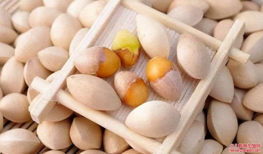 白果可以每天坚持吃吗？