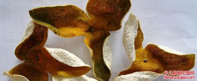 陈皮是什么皮？