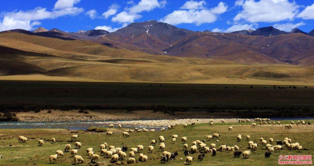 三大草原是哪三大草原?
