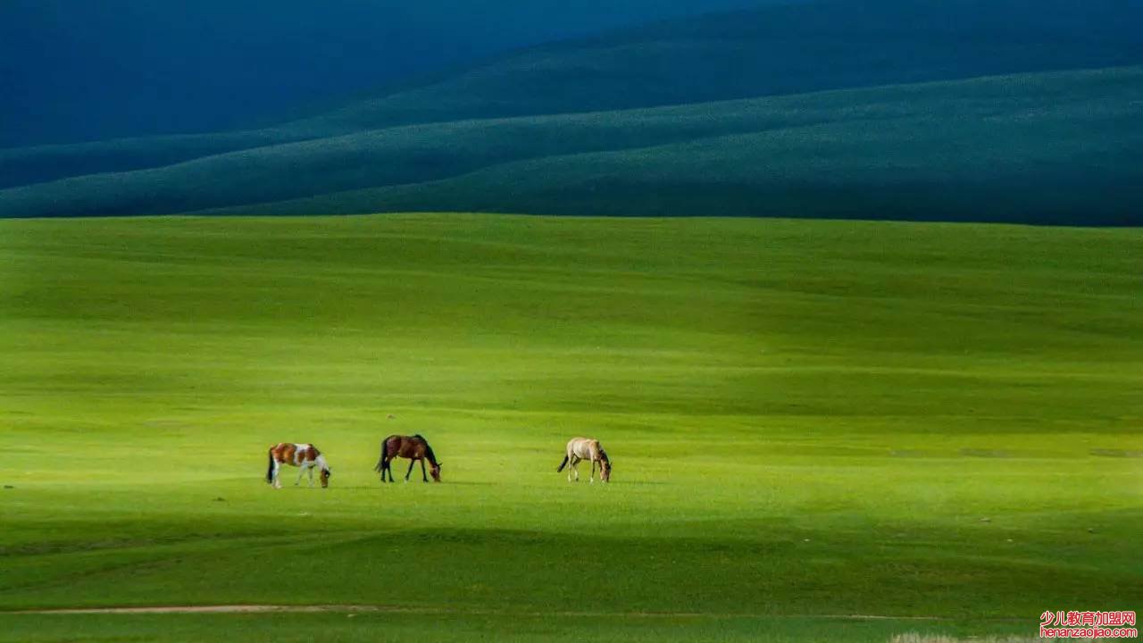 三大草原是哪三大草原?