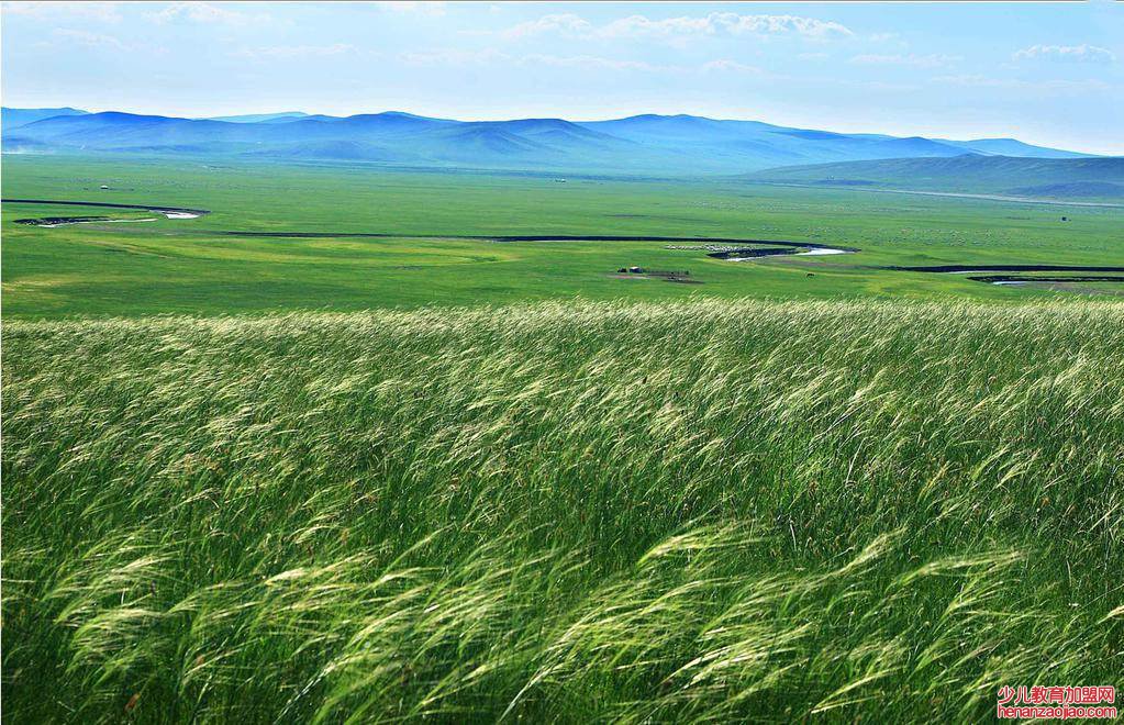 三大草原是哪三大草原?