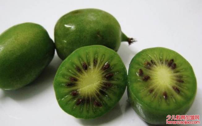 软枣猕猴桃还叫什么?