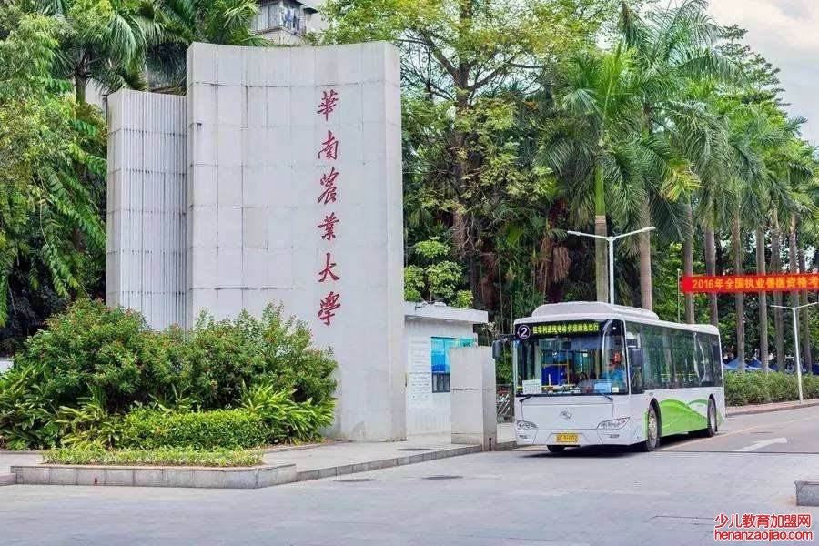 广东排名前十的大学有哪些？