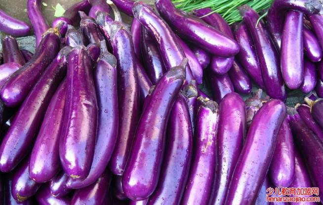 茄子里含有多少淀粉？