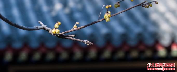 数九从哪一天开始到哪一天结束？