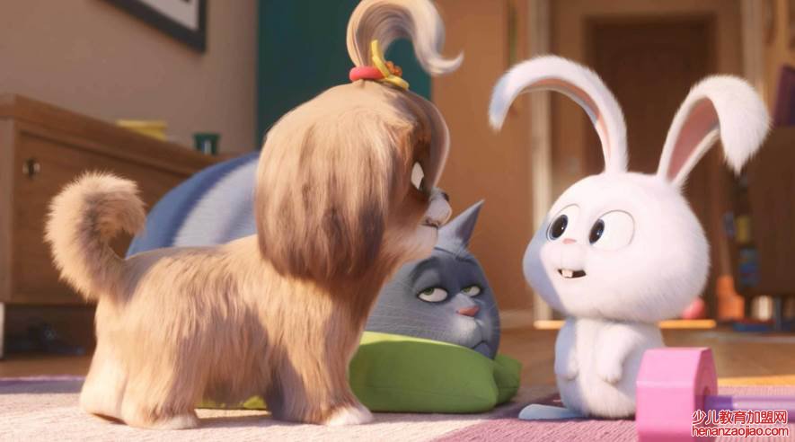 哪一年属兔的是金兔?