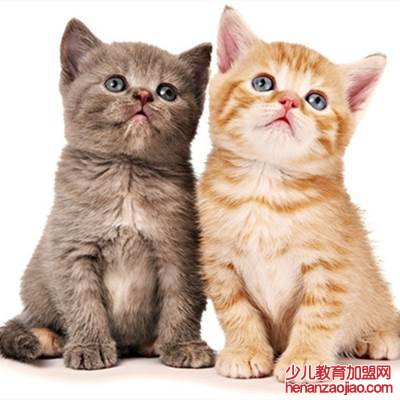 被猫抓了一下轻微破皮要打针吗？