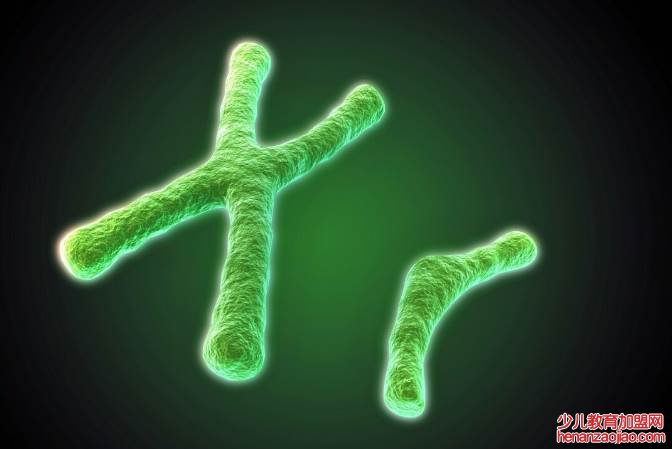 生男生女取决于男方还是女方？