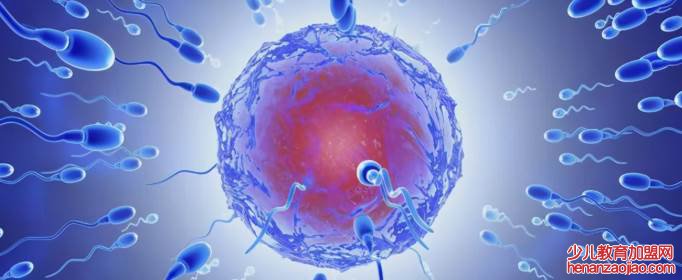 生男生女取决于男方还是女方？