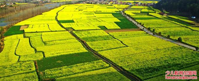 梯形田地如何计算亩数公式？