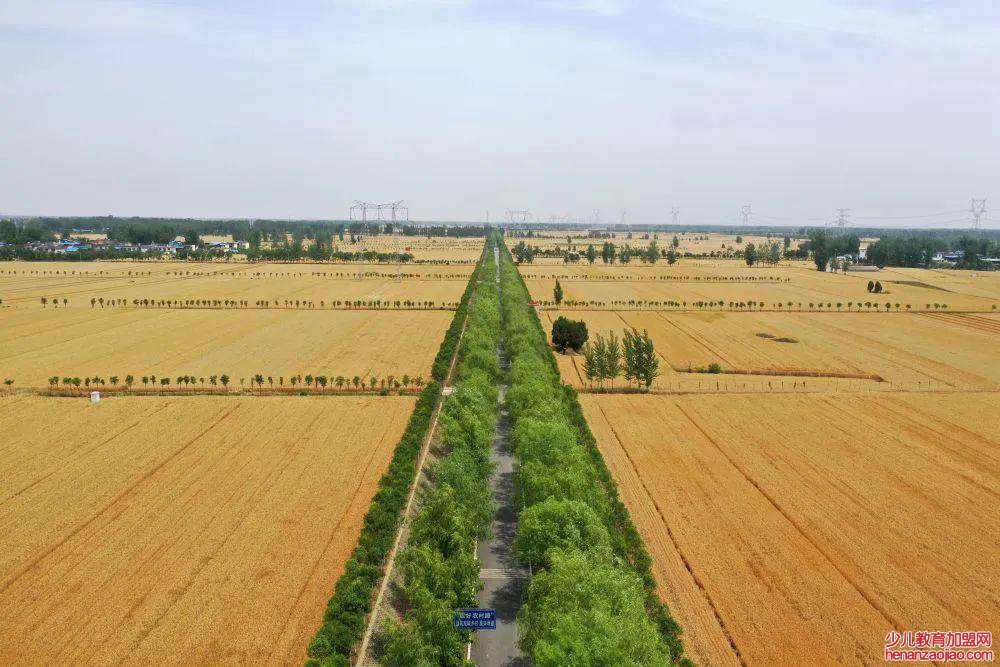 梯形田地如何计算亩数公式？